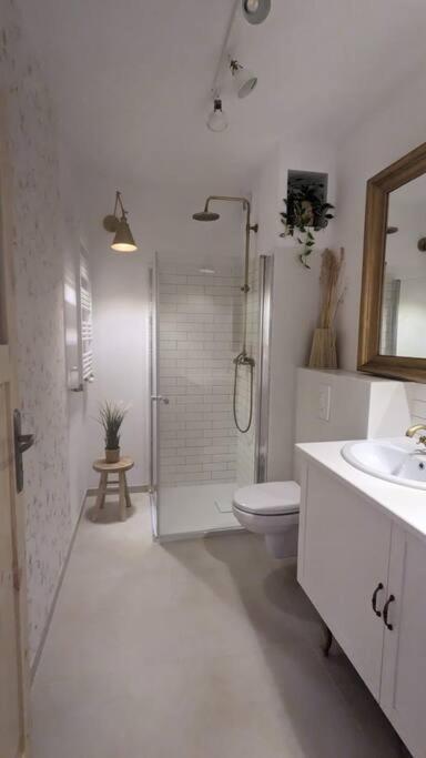 Apartament&Spa Lis&Las Sobótka 外观 照片