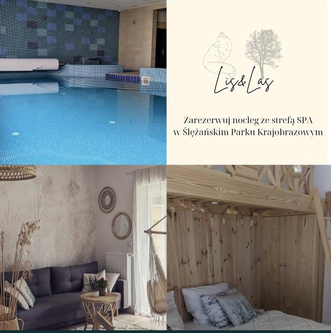 Apartament&Spa Lis&Las Sobótka 外观 照片